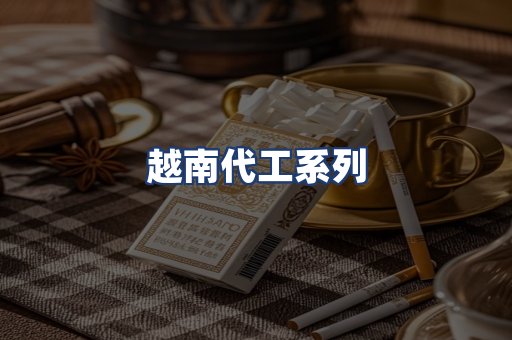 越南代工系列